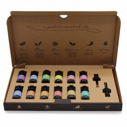 12 Ätherische Öle Set 5ml – Aromatherapie Geschenkset mit Pipetten – 100% Reines Öl für Diffusor, Vegan & Cruelty-Free