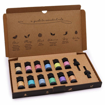 12 Ätherische Öle Set 5ml – Aromatherapie Geschenkset mit Pipetten – 100% Reines Öl für Diffusor, Vegan & Cruelty-Free